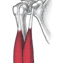 머슬 라운지 이미지