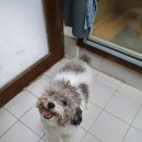 카우만 동물병원 이미지