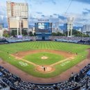 창원NC파크 이미지