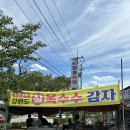 옥수수민박 | 경포대 간식 “경호슈퍼민박”&amp;“원흥건어물” 후기