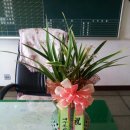 도일초등학교 이미지