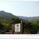 수륜면 백운리 삼거리 이미지
