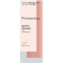 비스타파운데이션