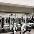 인싸짐 계산점 이미지