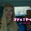 야호이 스타뉴스