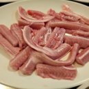 산꼼장어 이미지