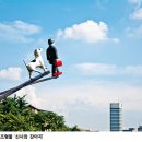 신진정미소 이미지