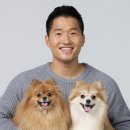 주식회사 보듬컴퍼니 이미지