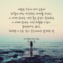 싸인세계 이미지