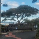 아침산책 길-사라봉 길/건입동 벽화길길 이미지