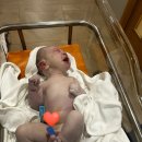 노산동물병원 | 덕지 처음 만난 날 D-day | 40세 초산, 출산 임박, 무통 없이 자연분만