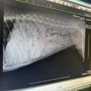 거묵프리미엄 상가 이미지