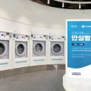 단비코리아