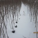 증산농장2 이미지