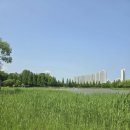 어진동_호수공원제3주차장 입구 | 안산 아이와가볼만한곳 안산호수공원 해양아카데미 보트 체험장 주차장 놀이터