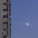코스모스세탁 | 안산 코스모스 어린이집 부스 체험 후기 | 내향인 아파트, 천연염색 손수건 만들기, 키링 만들기, 방탈출