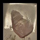 도톤보리 교대점 이미지