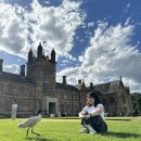 오리지날 백패커스 | [2025호주] 6. 시드니 day 5 (시드니 YHA 센트럴, 서리힐즈, 시드니 대학교, 빅토리아 공원)