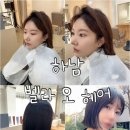 모리 다락방 | [하남] 벨라오헤어 • 미사 미용실 푸석한 머릿결 염색후 물미역 된 후기 💇🏻‍♀️ (feat. hair_jini)