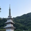 용문면사무소 | 용문사 (양평) 템플스테이 휴식형 후기