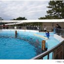 우리 가족 꿈의 수족관 이미지