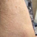 다소니의원 이미지