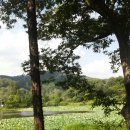 송산2리 이미지