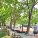 들국화 펜션 이미지