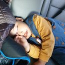 혜림농장 이미지