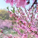 천지여인숙 이미지