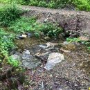 바람개비별장펜션 | [대전 글램핑] 힐링 제대로 '장태산 힐하우스 펜션'