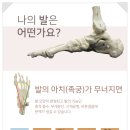 알즈너 점프 대리점 이미지