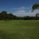 무궁화금호 이미지