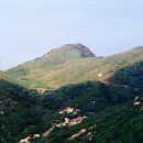 화왕산성 Daum카페
