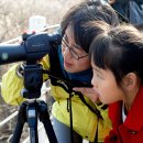 올 겨울 국내 유일의 철새축제, 군산세계철새축제 이미지