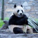 ㈜즐거운여행 이미지