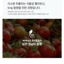 한국해외농업개발주식회사 | 식물성 멜라토닌 5MG 후기 깊은 잠을 위한 뷰티슬립 엘리멘탈 체험기