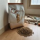 길냥이와 함께하는 | 캐츠랑 전연령 10kg 길냥이 사료 정착한 이유