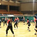 보성 다향체육관 이미지