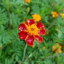 서광자연 이미지