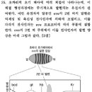 2006년 기출 25번 쌍지배유전자 문제 이미지