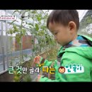 정용진농장 이미지