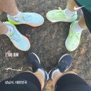 탄천사랑방 | 2025 광복절 시댁에서 보낸 3박 4일 연휴 기록 (7km 러닝, 등산)