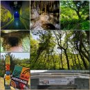 거문오름 용암동굴계 상류동굴군(웃산전굴 북오름굴 대림굴) | 제주세계자연유산센터 탐방 제주 대표 오름 봄풍경 가득한 거문오름 탐방 제주 국가유산 방문의해...