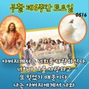 2026- 05 -16 부활 제6주간 토요일＜아버지께서는 너희를 사랑하신다. 너희가 나를 사랑하고 또 믿었기 때문이다.＞ 이미지