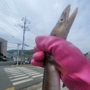 신진호 수산