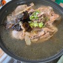 감나무 | 울산 계곡 평상 감나무산장 후기｜성수기 평상대여 금액, 샤워시설·족구장까지