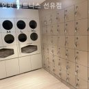 업핏 웰니스 클럽 이미지