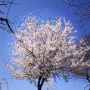 학수 경로당 이미지