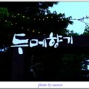 별빛정원 이미지